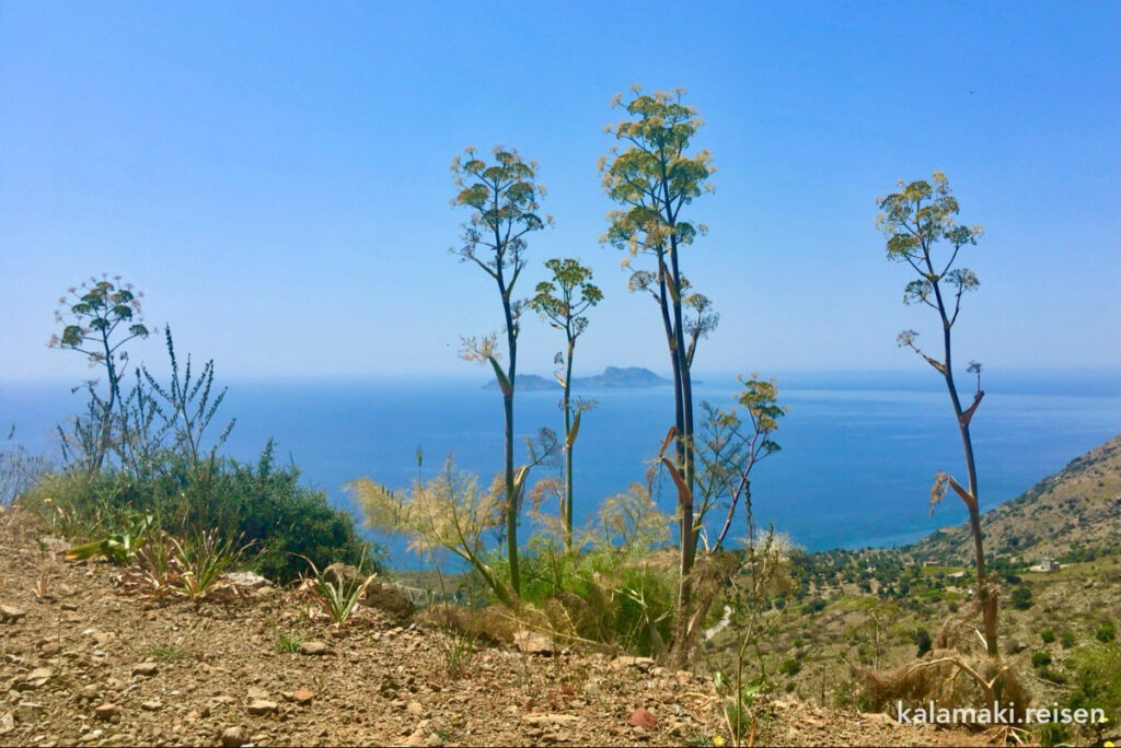 Blick auf's Meer auf dem Weg nach Agios Georgios