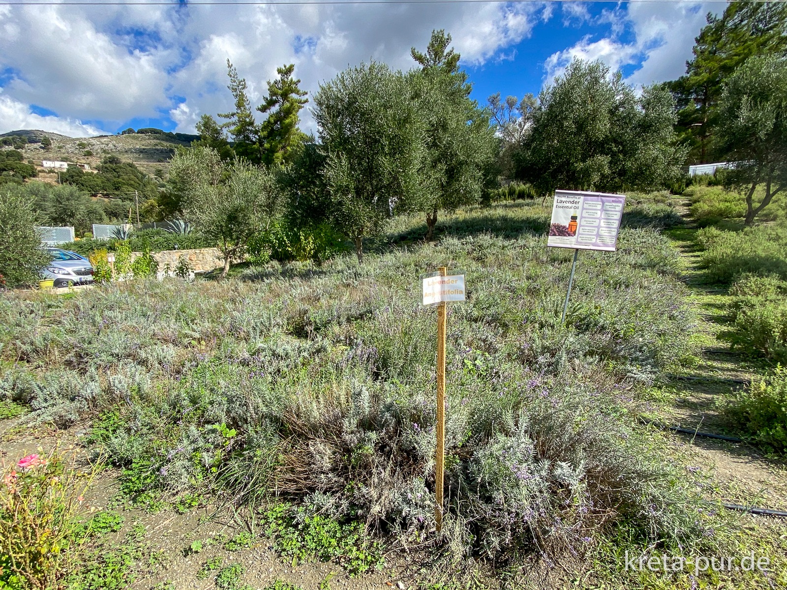 Maravel Garden in Spíli botanischer Garten, Café und Shop Kreta pur
