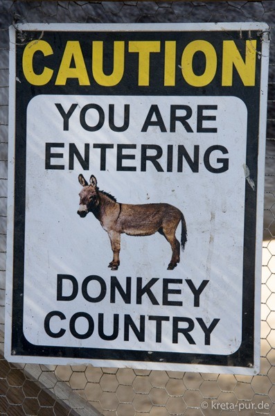 Agia marina donkey rescue 2159