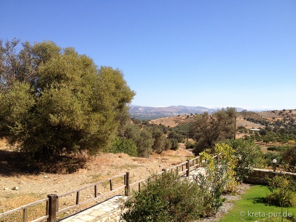 Blick von der Terrasse