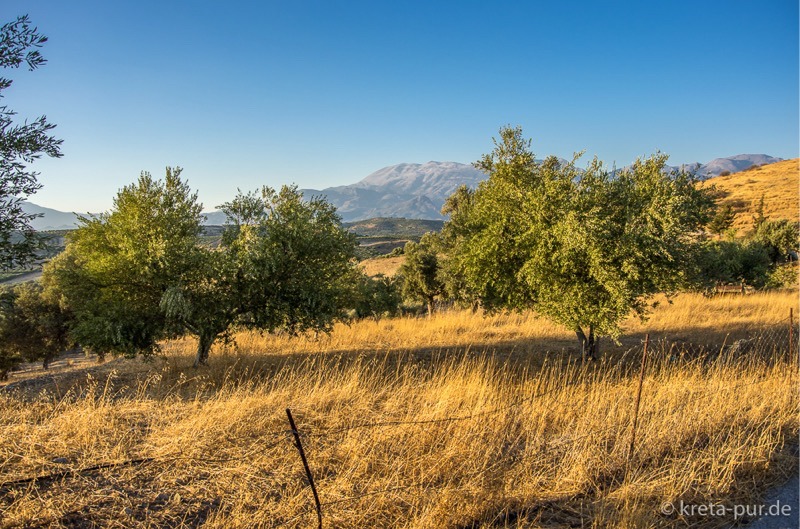 Musterbild Kreta Landschaft bei Sivas