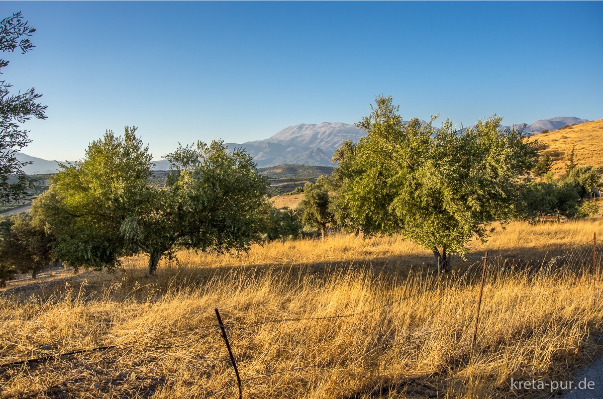 Abendstimmung in Kretas Süden, bei Sivas